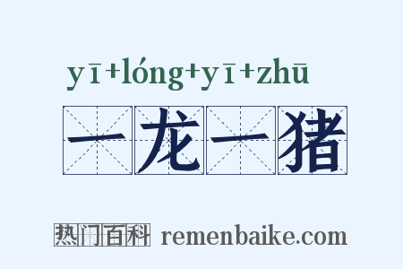 一龙一猪是什么意思的图片